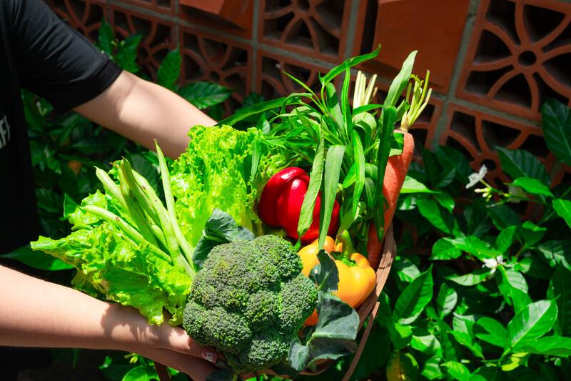 Rau hữu cơ và lợi ích tuyệt vời cho sức khỏe