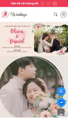 Website Dịch vụ cưới hỏi - BVC 41