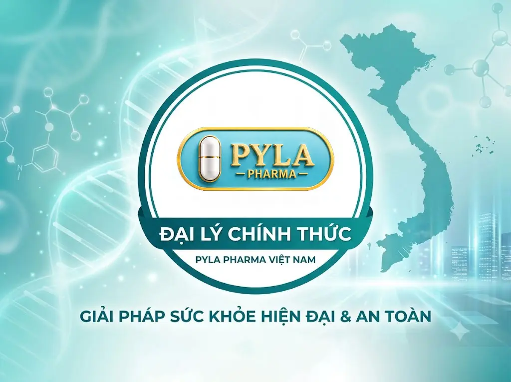 Đại lý Pyla 02