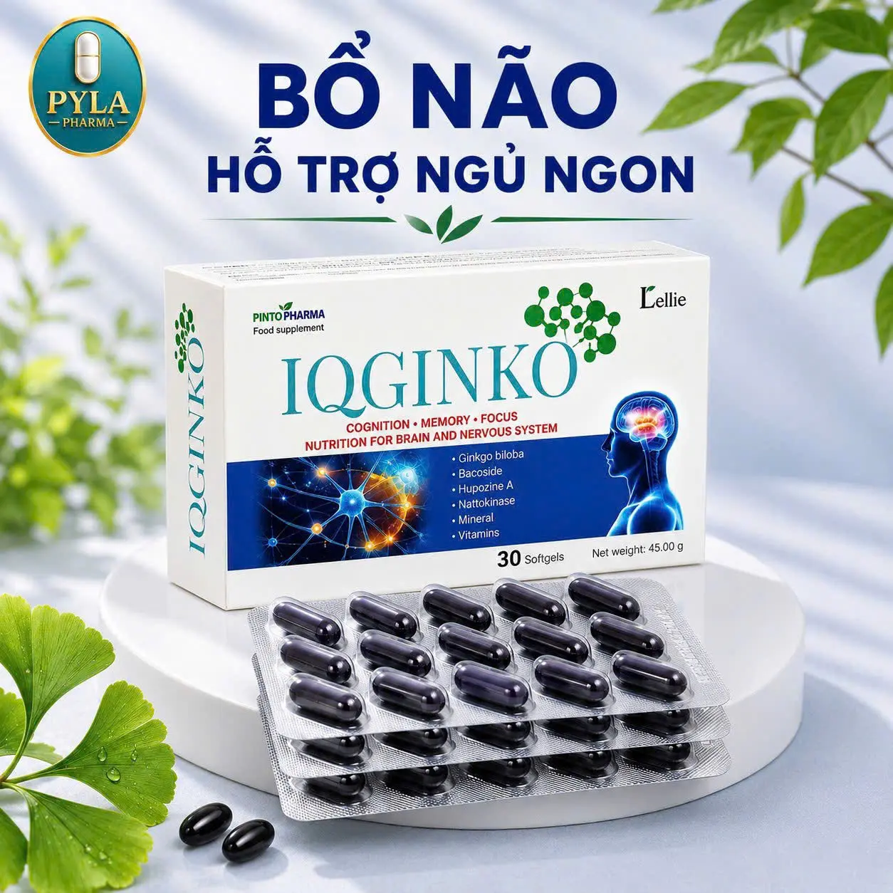 Viên Bổ Não IQ Ginkgo – Nhập Khẩu Bulgaria