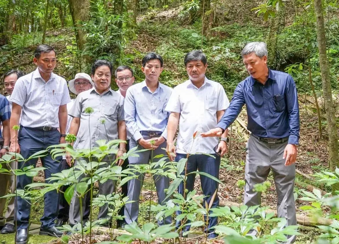 Từ “mỏ vàng xanh” đến sản phẩm du lịch sức khỏe