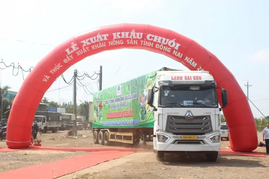 Đồng Nai xuất 220 tấn chuối tươi sang Nhật Bản, H&agrave;n Quốc, Trung Quốc - 2