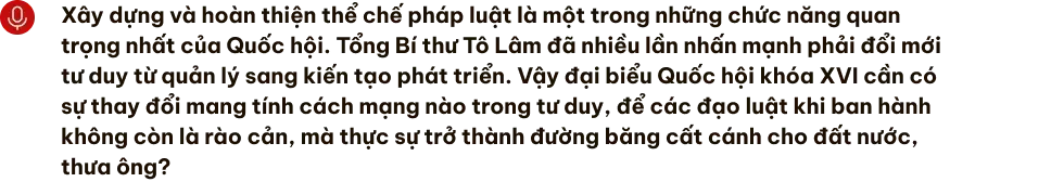 Đại biểu Quốc hội cần năng lực kiến tạo thể chế thay vì “chỉ bấm nút” - 9